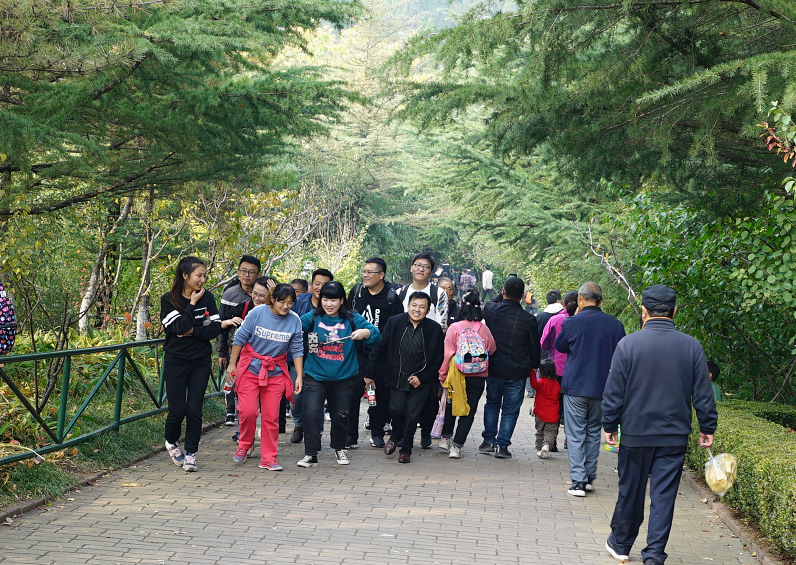 1573627553111302.png 微信圖片_201911131040221.png