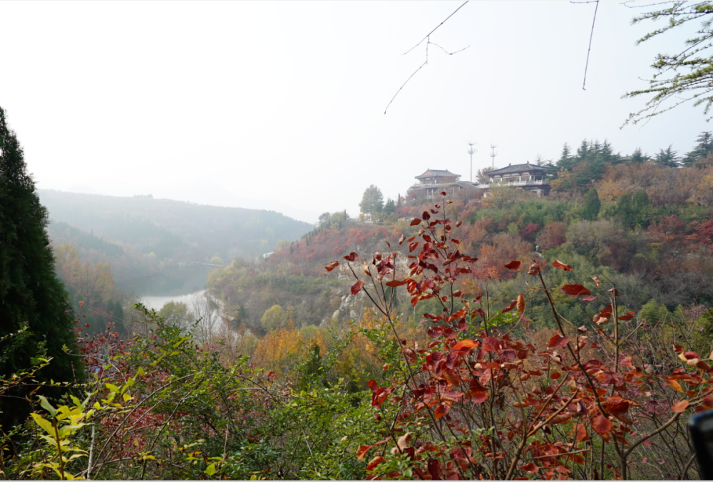 1573628091124628.png 1.png